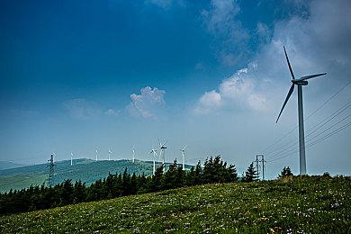 卡普空表示《怪物猎人：荒野》正式版状态会更好
